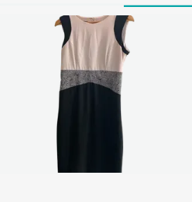 Sandro Ferrone Shift Dress